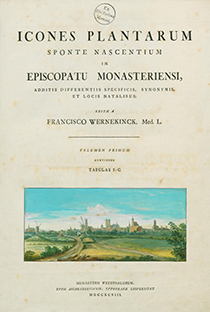 Titelblatt Icones Plantarum