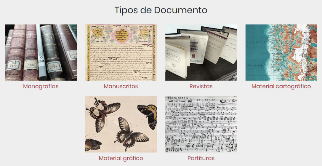 Screenshot des Portals Simurg (http://simurg.csic.es/) › Abschnitt "Tipos de Documento"